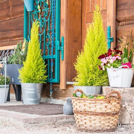 Maly Majer Podlesok Penzión pre hostí 3*