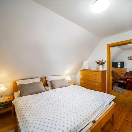 Maly Majer Podlesok Guest house Hrabusice